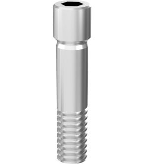 [PACK OF 10] ARUM INTERNAL SCREW Compatible With<span> Dentium® SuperLine 3.6/4.0/4.5/5.0/6.0/7.0</span>